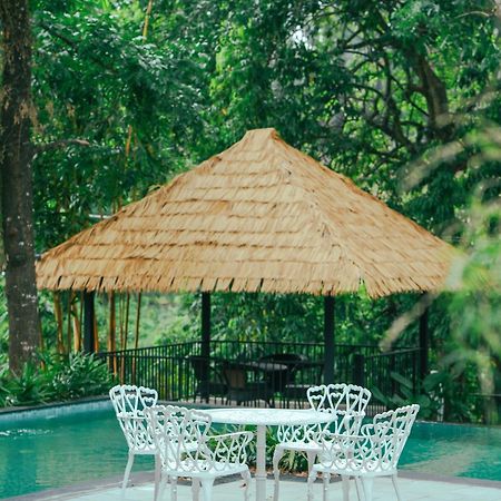 Hotel Athirapilly On The Rocks Athirappilly Exteriér fotografie