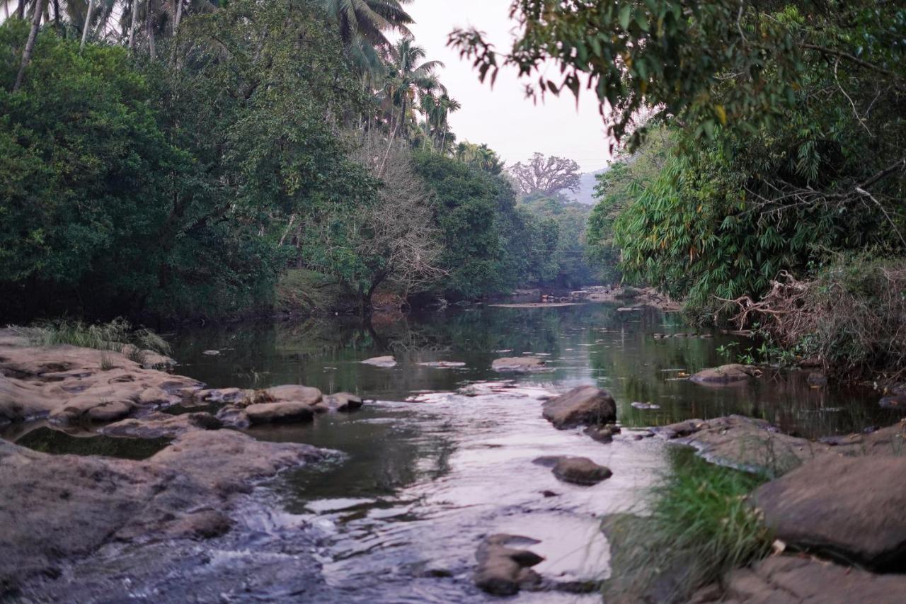 Hotel Athirapilly On The Rocks Athirappilly Exteriér fotografie