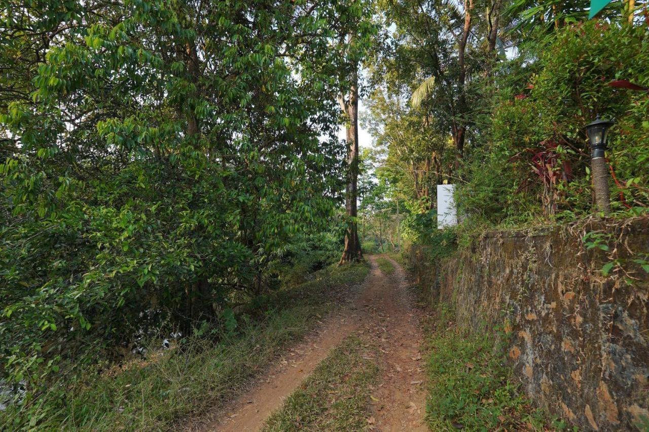 Hotel Athirapilly On The Rocks Athirappilly Exteriér fotografie