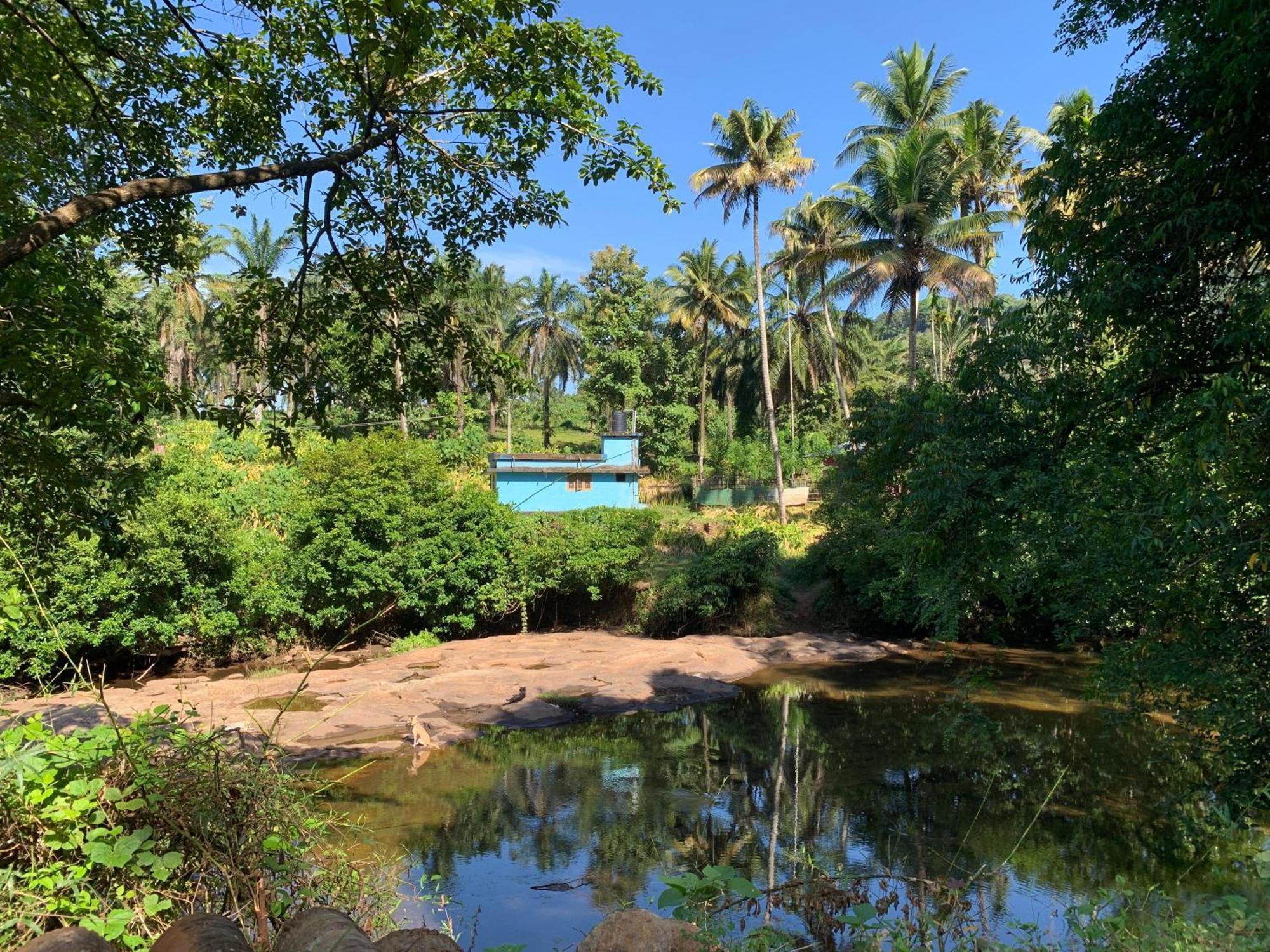 Hotel Athirapilly On The Rocks Athirappilly Exteriér fotografie